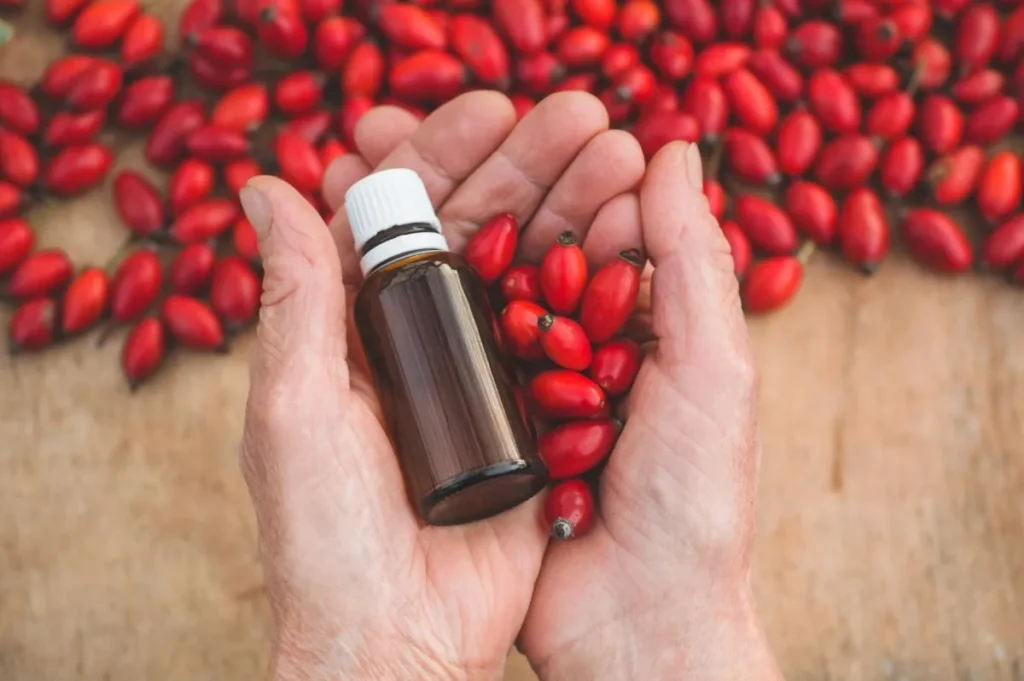 Persona aguantando bajo la palma de las manos granos de rosa mosqueta y frasco de aceite de rosa mosqueta puro.